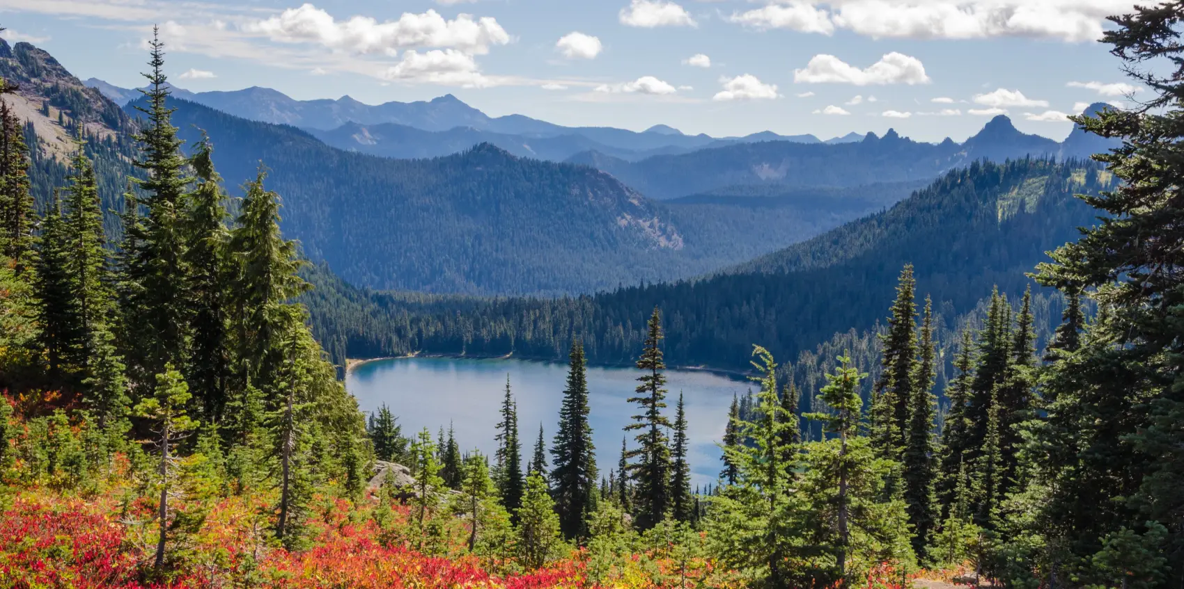 Salem Periodontal and Implant Specialist 